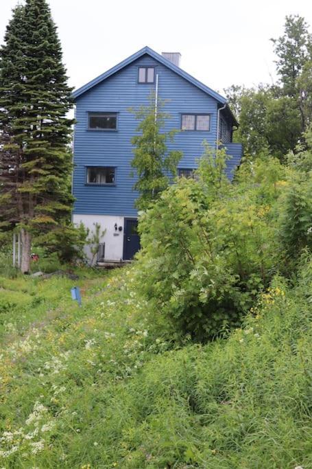 Cozy Family House Villa Tromsø Dış mekan fotoğraf